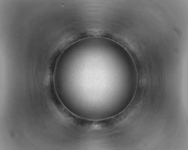 X0000112060647200908111413