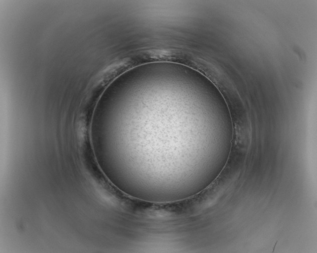 X0000112060648200908111413