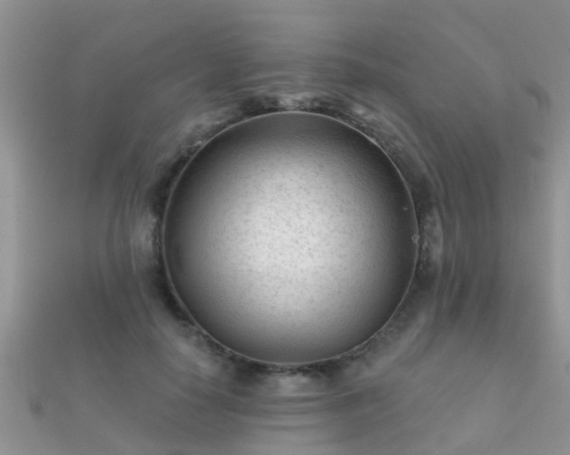 X0000112060650200908111413