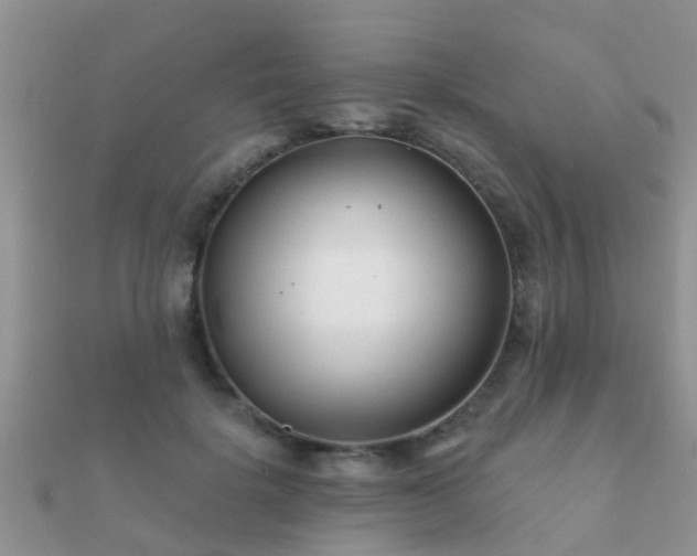X0000112060652200908111413