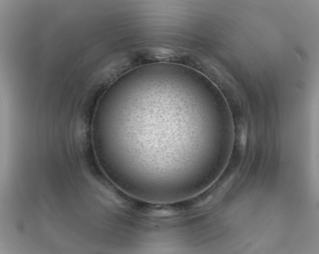X0000112060653200908111413