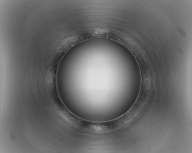 X0000112060654200908111413