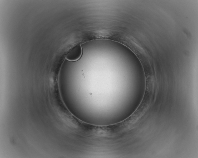 X0000112060655200908111413
