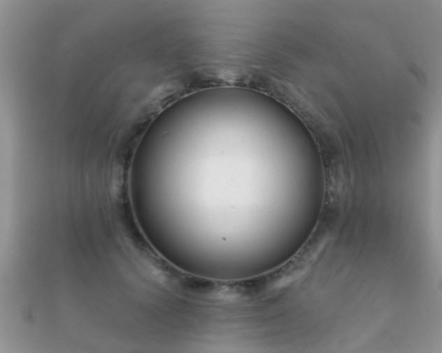 X0000112060656200908111413