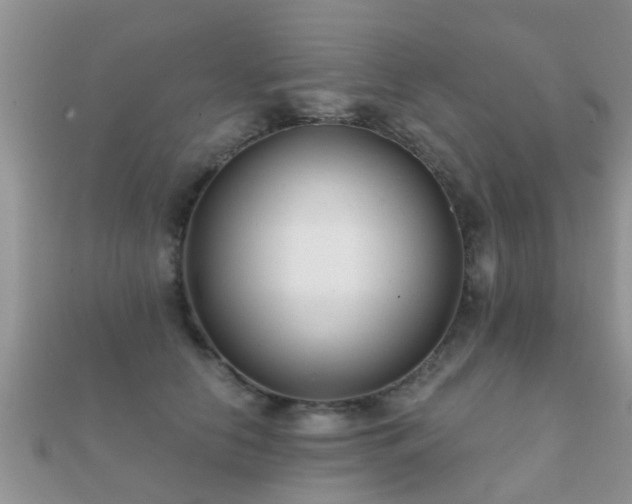 X0000112060658200908111413