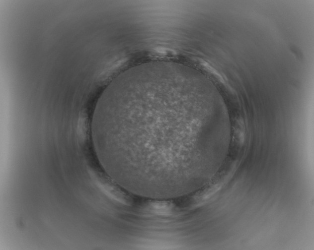 X0000112060659200908111413