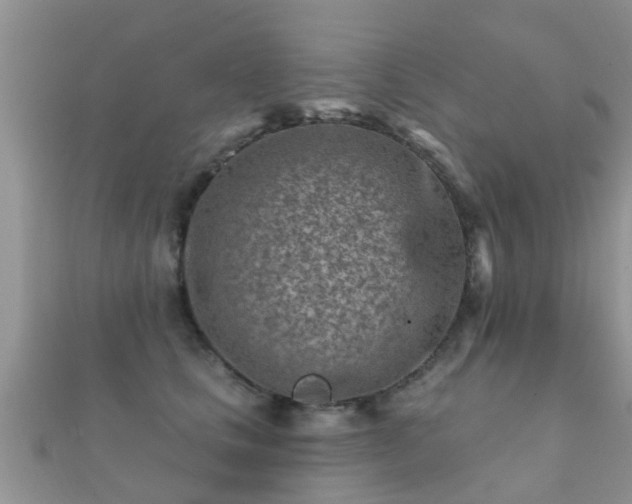 X0000112060661200908111413