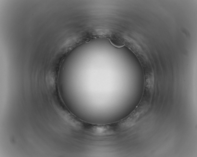X0000112060662200908111413