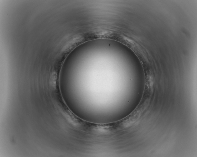 X0000112060664200908111413