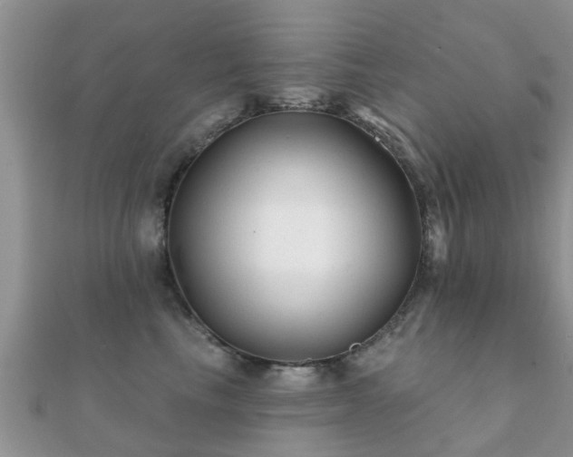 X0000112060665200908111413