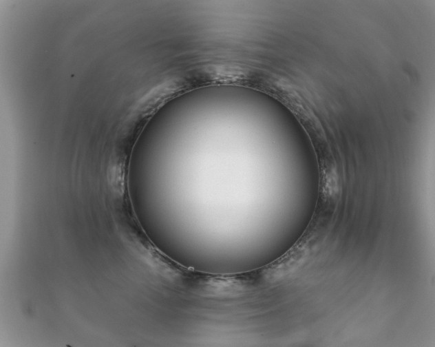 X0000112060666200908111413