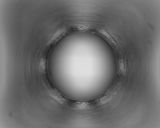 X0000112060667200908111413