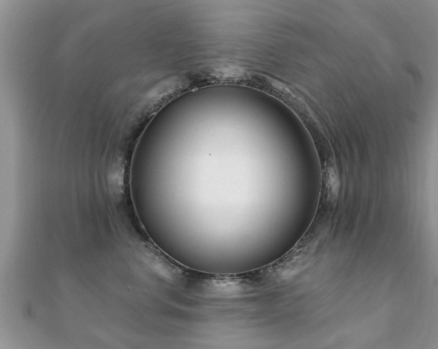 X0000112060668200908111413