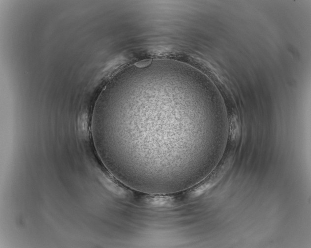 X0000112060670200908111413
