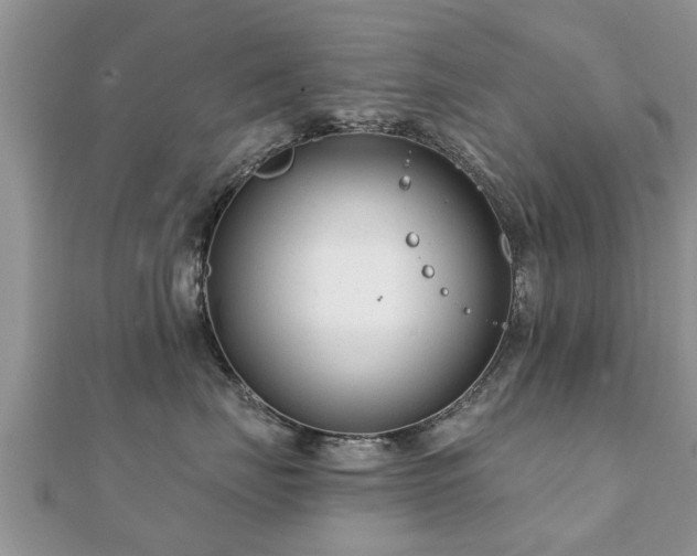 X0000112060671200908111413