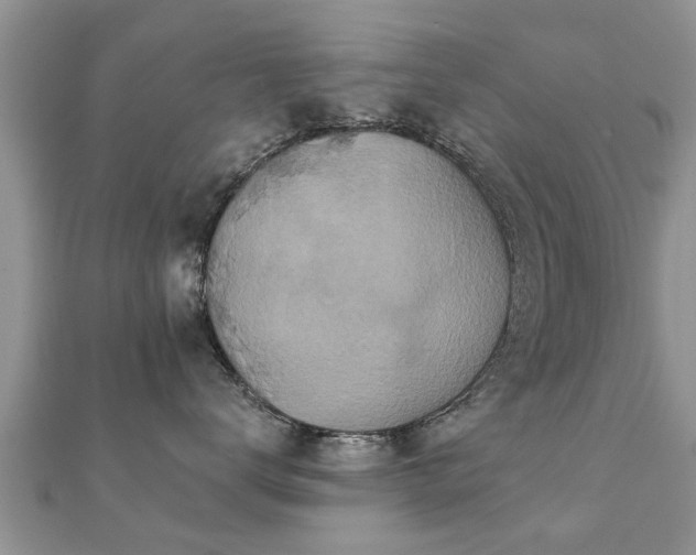 X0000112060672200908111413