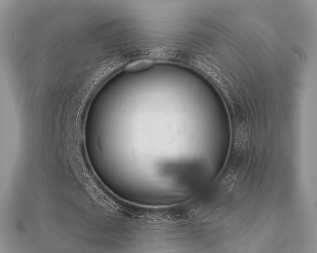 X0000112060673200908111412