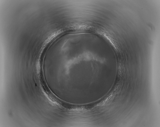 X0000112060674200908111412