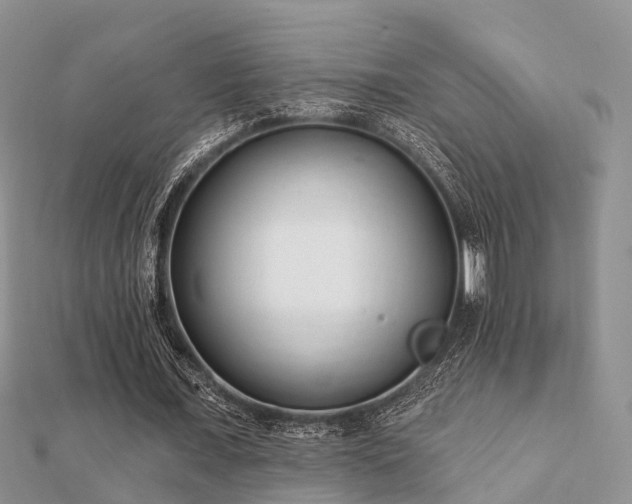 X0000112060675200908111412