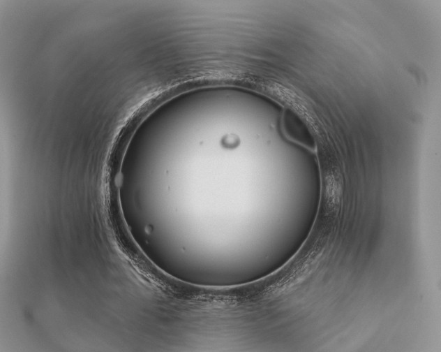 X0000112060676200908111412