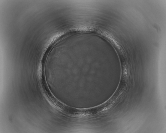 X0000112060678200908111412