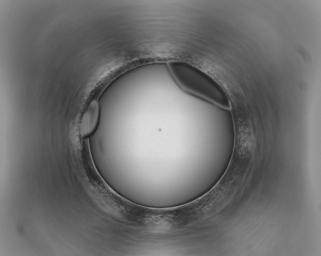 X0000112060680200908111412
