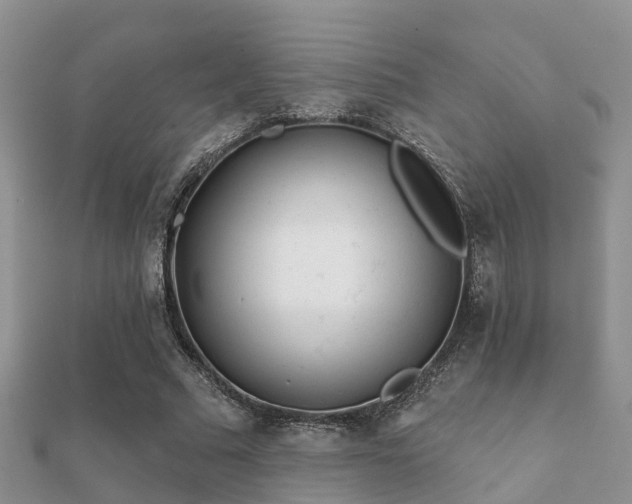 X0000112060681200908111412