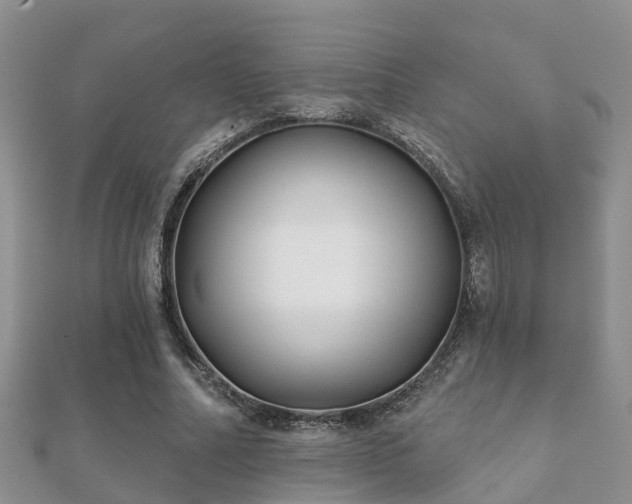 X0000112060682200908111412