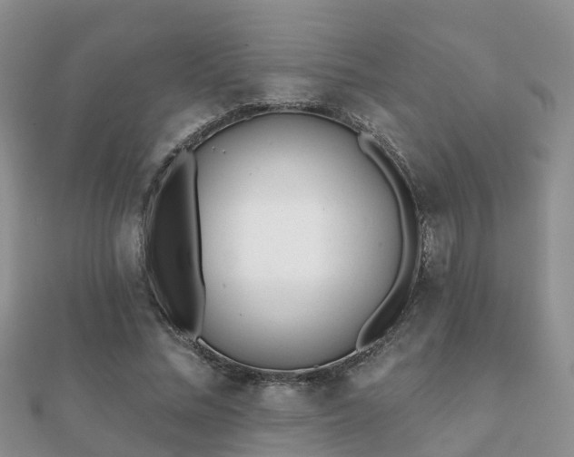 X0000112060684200908111412