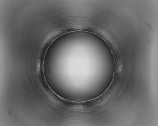 X0000112060685200908111412