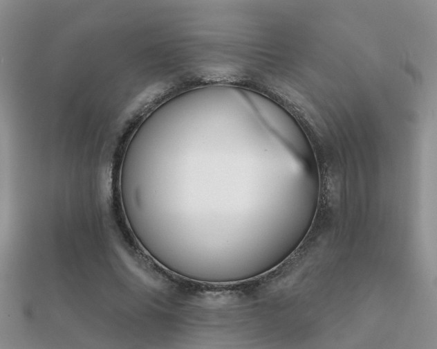 X0000112060686200908111412