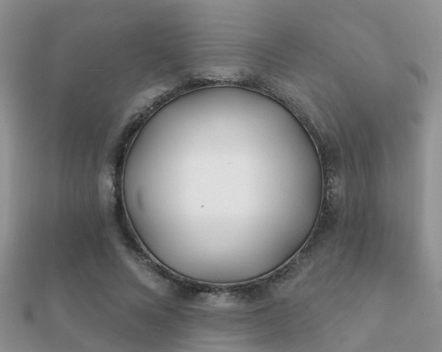 X0000112060688200908111412