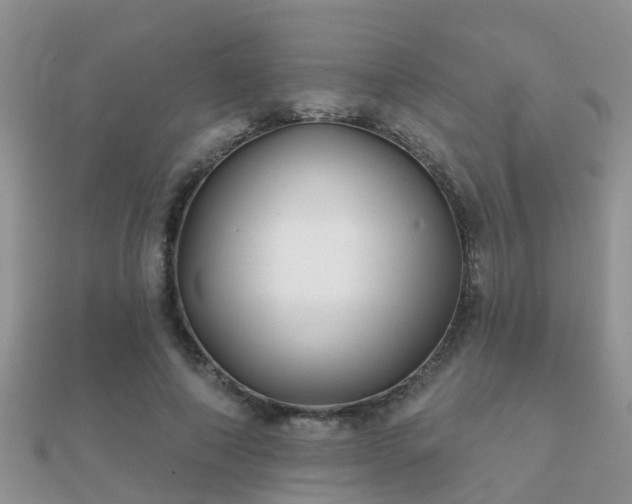 X0000112060690200908111412