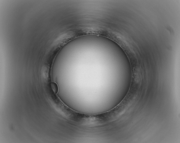 X0000112060695200908111412