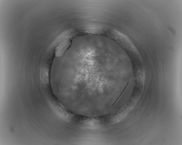 X0000112060696200908111412