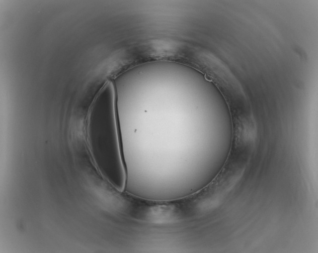 X0000112060700200908111412