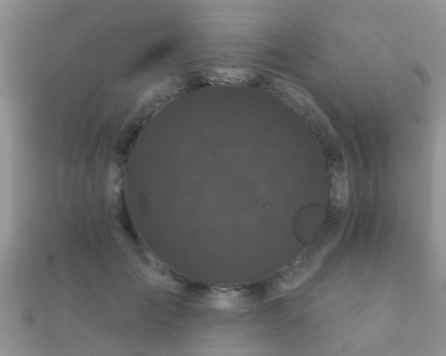 X0000112060701200908111412