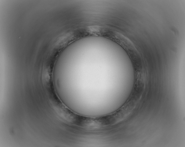 X0000112060702200908111412