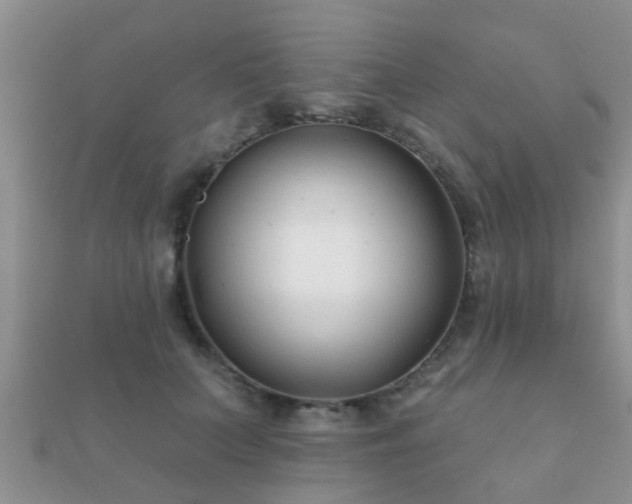 X0000112060703200908111412