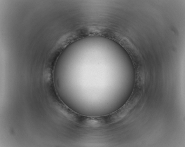 X0000112060706200908111412