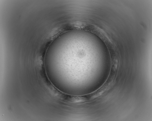 X0000112060707200908111412