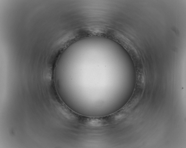 X0000112060710200908111412