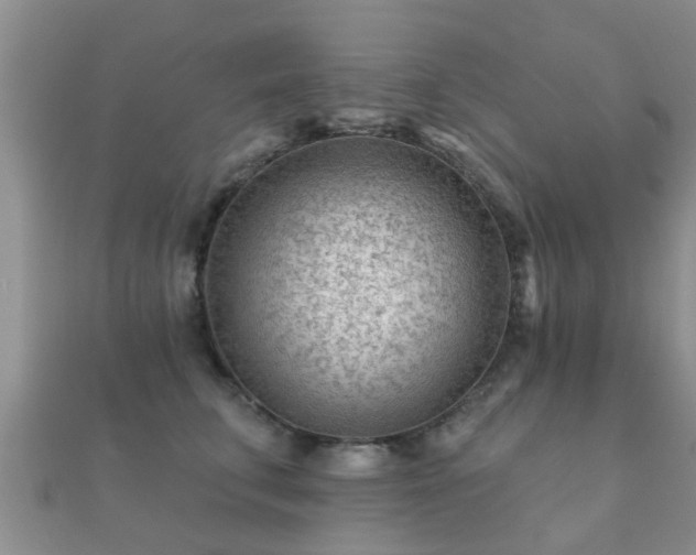 X0000112060711200908111412