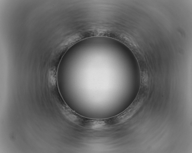 X0000112060719200908111412
