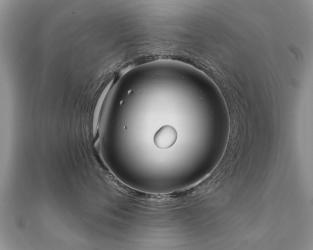 X0000112060720200908111412