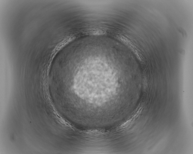X0000112060721200908111411