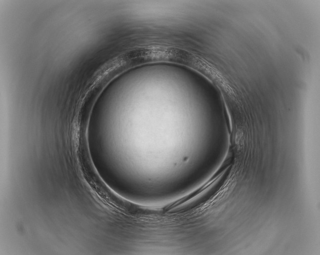 X0000112060722200908111411