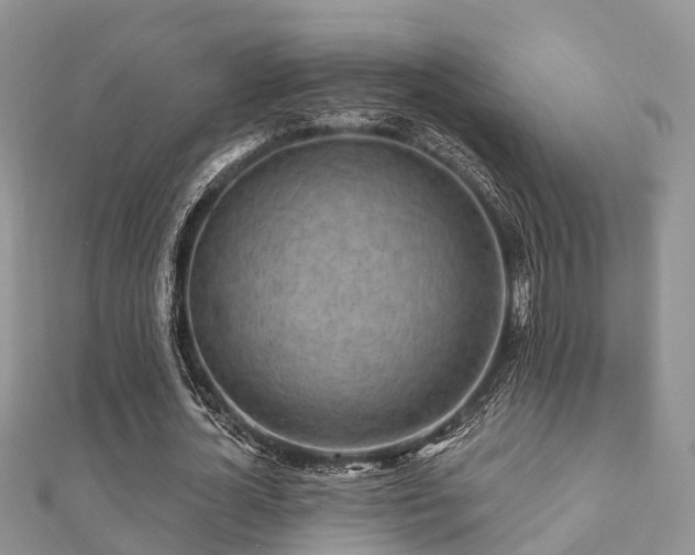 X0000112060724200908111411