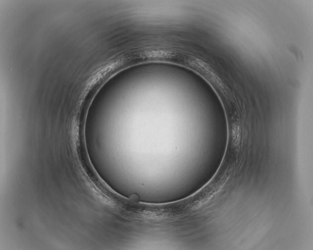 X0000112060725200908111411
