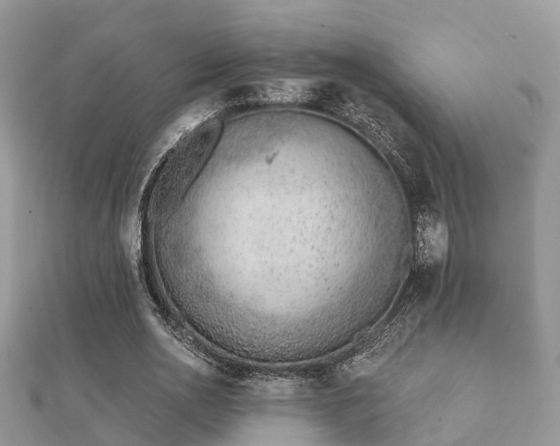 X0000112060726200908111411